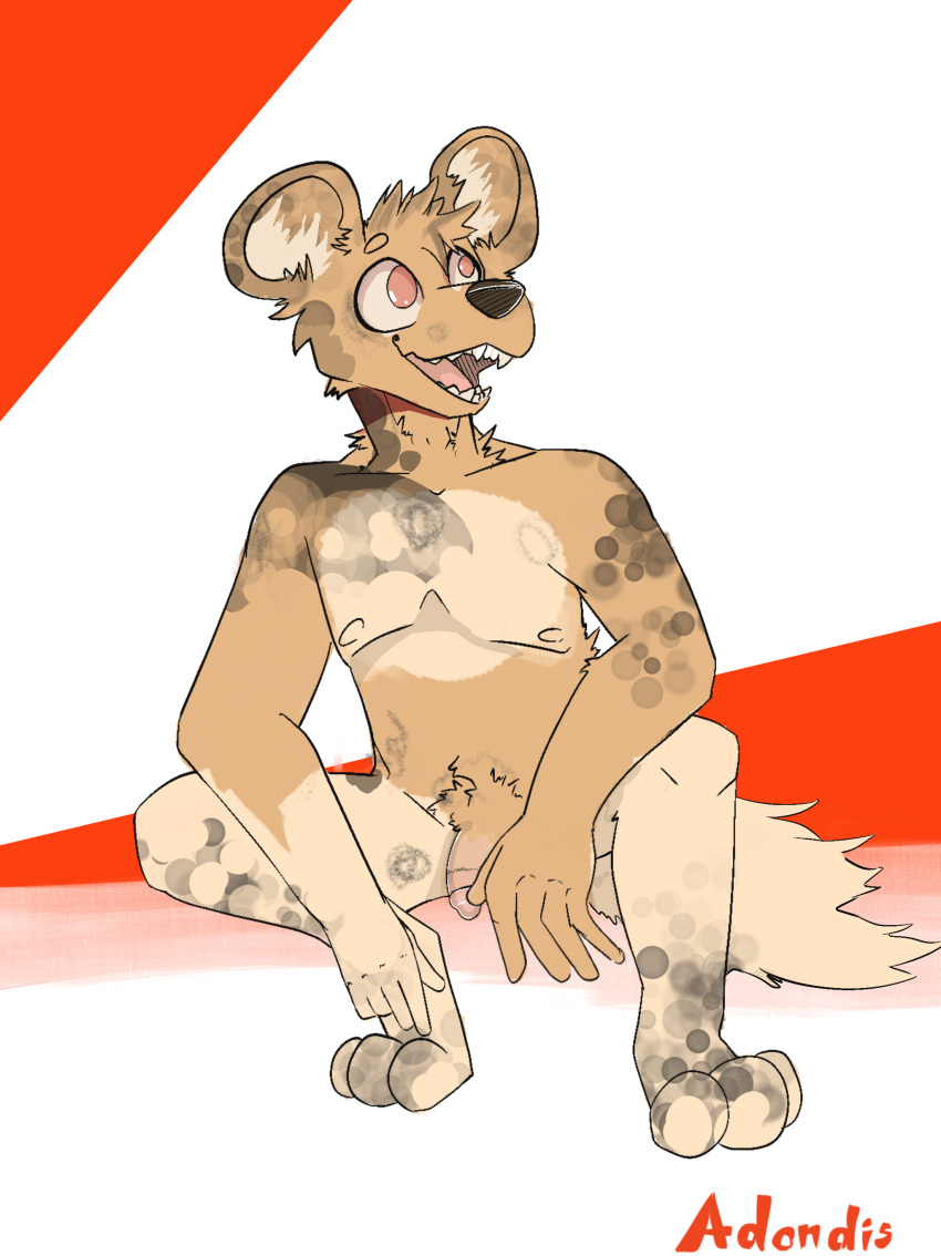 absurd_res adondis african_wild_dog anthro canid canine canis circumcised crouching domestic_dog flaccid fur genitals happy hi_res humanoid_genitalia humanoid_penis male mammal nipples nude open_mouth penis portrait round_ears simple_background smile solo spots tongue