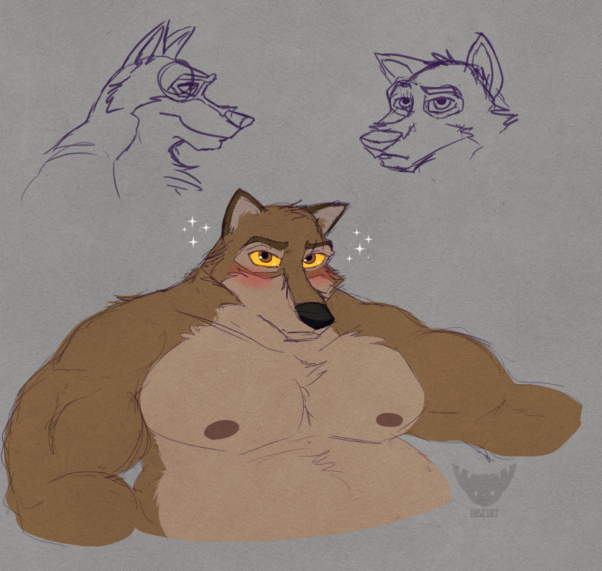 2022 absurd_res anthro balto balto_(film) basicbiscuit belly big_belly blush brown_body brown_eyes brown_fur canid canine canis fur grey_background grey_body grey_fur hi_res hybrid looking_at_viewer male mammal musclegut muscular muscular_male nipples overweight simple_background sketch_page solo sparkles universal_studios wolfdog yellow_sclera