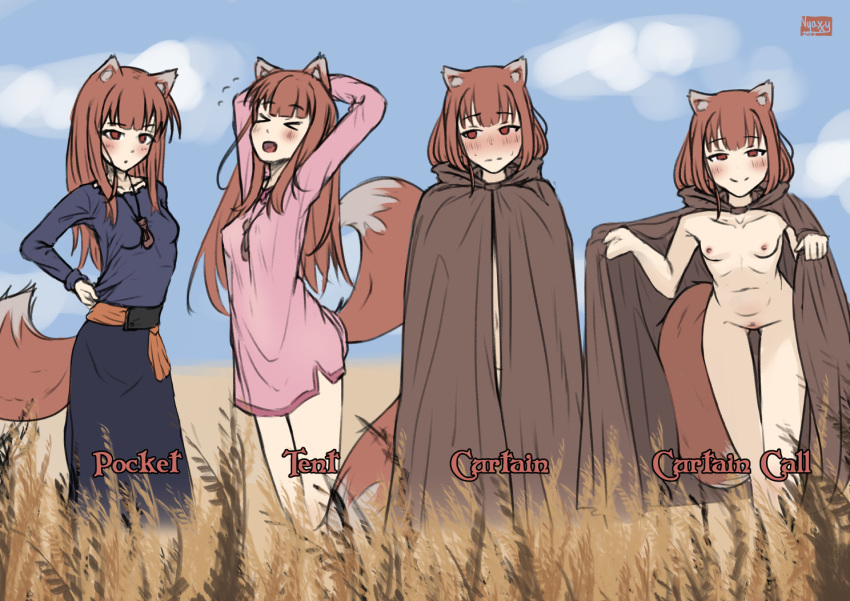 1girl animal_ears bangs blush breasts brown_hair cape curtain_call_challenge eyebrows_visible_through_hair field holding holo long_hair long_sleeves looking_at_viewer medium_breasts naked_cape navel nipples nude nyaxxy open_mouth pussy red_eyes shirt sky smile spice_and_wolf tail wheat wolf_ears wolf_girl wolf_tail