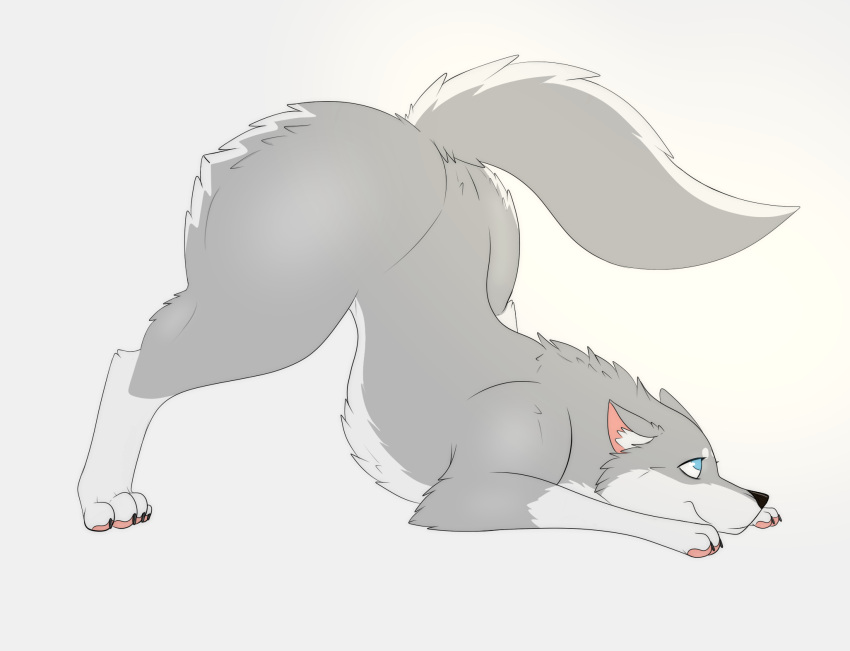 2022 ass_up big_butt black_nose blue_eyes butt canid canine canis digital_drawing_(artwork) digital_media_(artwork) ears_back eyelashes female feral fur grey_body grey_fur hi_res inner_ear_fluff jack-o'_pose kaze~inu mammal pawpads paws pink_pawpads pivoted_ears pose raised_tail simple_background smile solo tuft white_background white_body white_fur wide_hips wolf