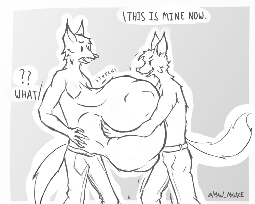 abdominal_bulge anthro belly belly_squish biped bottomwear canid canine canis clothing confusion duo fox grabbing_belly greyscale hi_res male male_pred mammal maw-malice monochrome pants shirtless squish stretchy vore wolf