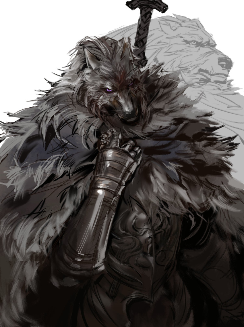 anthro armor blaidd_(elden_ring) canid canine canis cape clothed clothing dopq elden_ring fur gauntlets gloves grey_body grey_fur handwear hi_res looking_at_viewer male mammal one_eye_closed purple_eyes simple_background solo whiskers white_background wolf