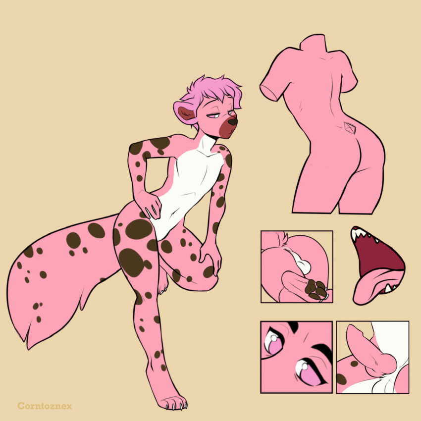 anthro girly hi_res hyaenid male mammal reference_image solo spots