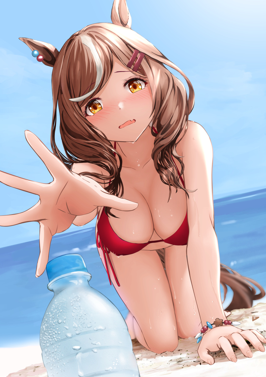 1girl absurdres all_fours animal_ears arm_support bangs bikini blush bottle bracelet breasts brown_eyes brown_hair cleavage day eyebrows_visible_through_hair fang foreshortening gibun_(sozoshu) hair_ornament hairclip halter_top halterneck highres horse_ears horse_girl horse_tail jewelry long_hair matikane_tannhauser_(umamusume) medium_breasts multicolored_hair outdoors outstretched_arm red_bikini revision skin_fang solo streaked_hair string_bikini swimsuit tail umamusume water_bottle white_hair
