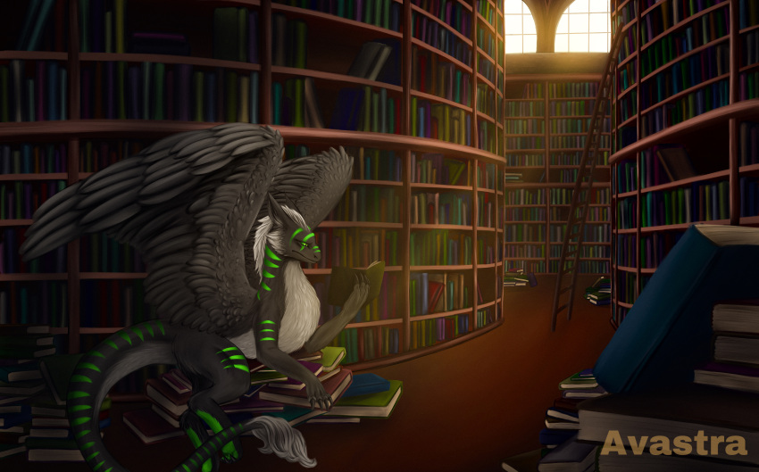 absurd_res avastra blightwing book bookshelf dragon feathered_wings feathers feral fur furniture furred_dragon hi_res library male reading solo wings