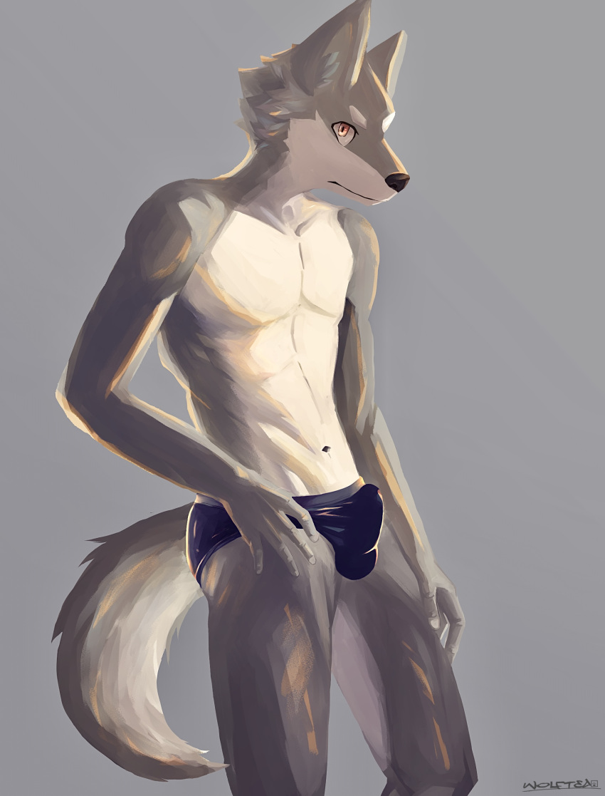 absurd_res anthro bulge canid canine canis clothed clothing fur grey_body grey_fur hi_res looking_at_viewer male mammal multicolored_body navel simple_background solo standing two_tone_body underwear underwear_only white_body white_fur wolf wolftea42