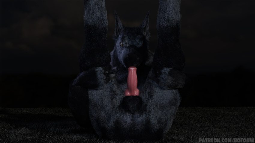 animal_genitalia animal_penis anthro balls bofonw canid canine canine_penis canis darkness ears_down erection feet fellatio genitals grey_body legs_up looking_at_viewer lying male male/male mammal on_back oral outside penile penis pivoted_ears red_penis sex solo sucking were werecanid werecanine werewolf wolf