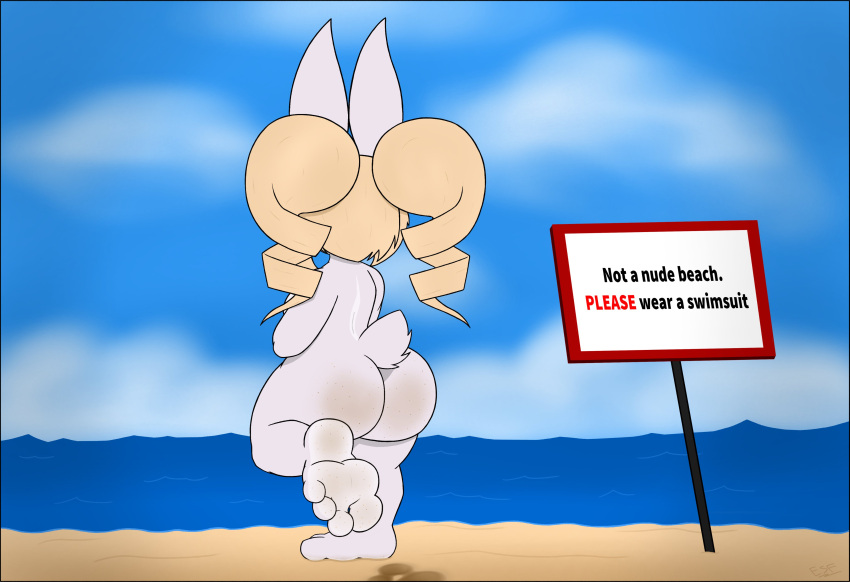 4_toes absurd_res anthro beach butt electricsnowfox feet female fur hair hi_res lagomorph leporid mammal nude outside rabbit seaside soles standing toes white_body white_fur