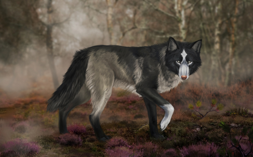 2022 ambiguous_gender black_body black_fur canid canine canis day detailed_background digital_media_(artwork) feral forest fur grass green_eyes grey_body grey_fur mammal moss muns11 outside plant solo tree white_body white_fur wolf
