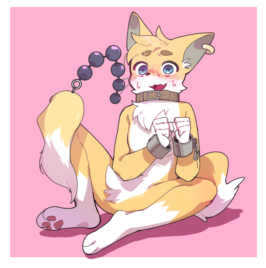 anal_beads bdsm canid canine cuff_(restraint) ear_piercing ear_ring fox handcuffs hi_res male mammal metal_cuffs niko50082174 piercing restraints sex_toy solo