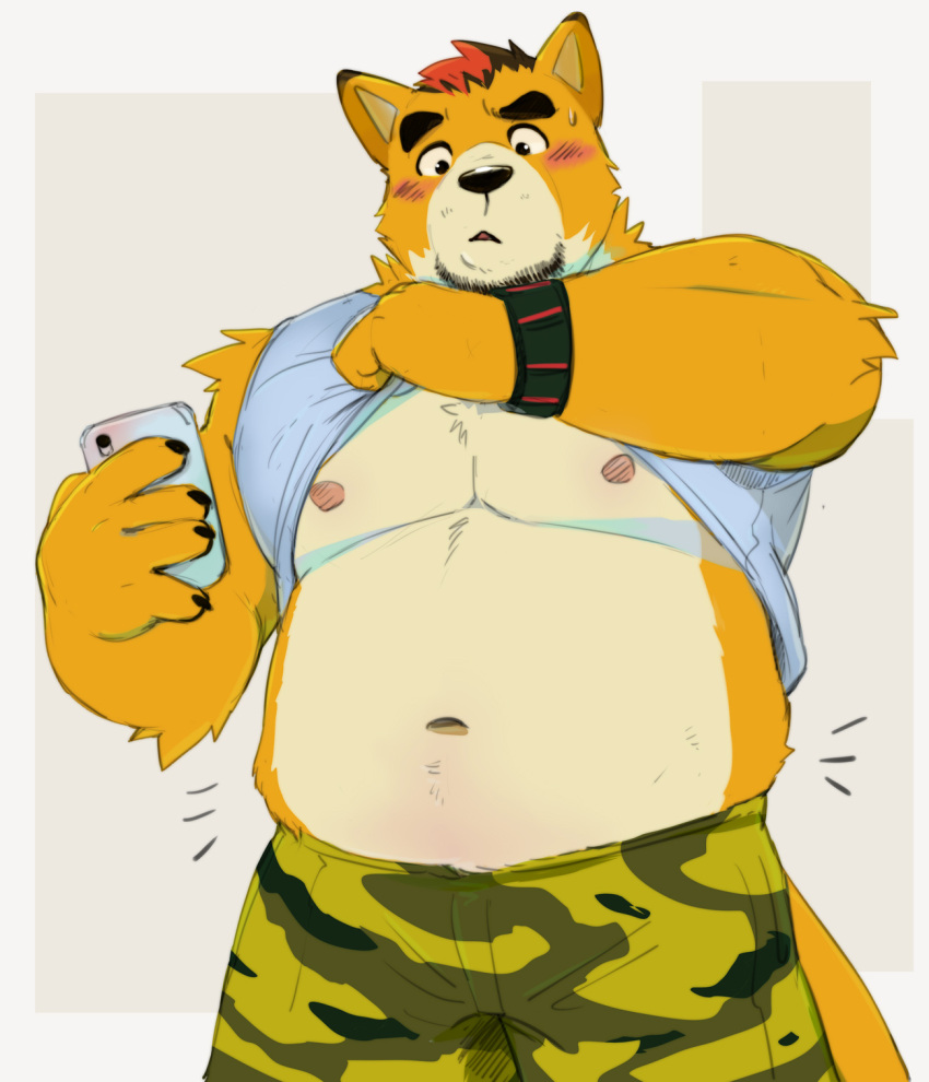 2022 anthro belly big_belly black_nose blush canid canine cellphone clothed clothing clothing_lift hi_res humanoid_hands kemono male mammal merfiller moobs navel nipples overweight overweight_male phone shirt shirt_lift smartphone solo topwear