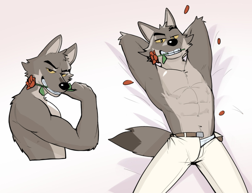 abs anthro bottomwear canid canine canis clothed clothing dreamworks flower hi_res jrjresq male mammal mr._wolf_(the_bad_guys) muscular muscular_male open_bottomwear open_clothing open_pants pants pecs plant rose_(flower) seductive solo the_bad_guys topless underwear wolf