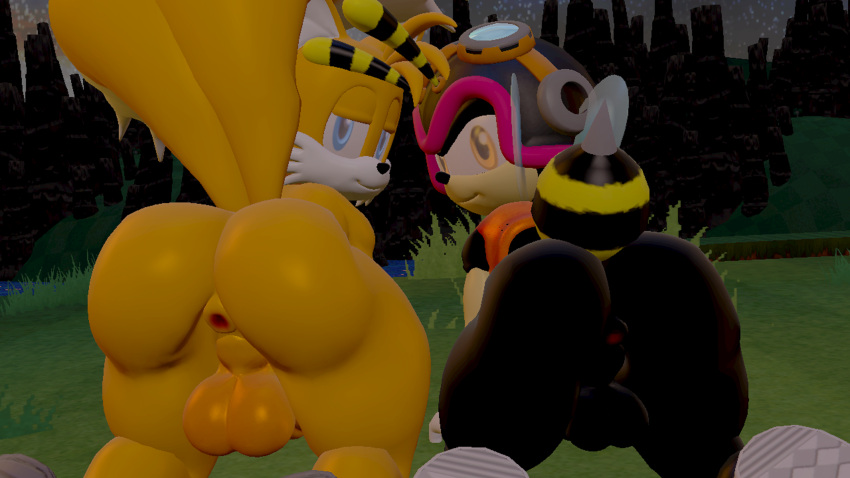 3d_(artwork) anthro anus arthropod balls bee big_butt butt canid canine charmy_bee digital_media_(artwork) duo fox genitals hi_res huge_butt hymenopteran insect male mammal miles_prower presenting sega skulltronprime969 sonic_the_hedgehog_(series) source_filmmaker thick_thighs