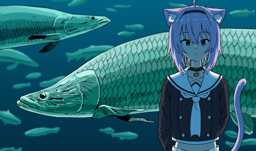 1girl absurdres ahoge animal_ear_fluff animal_ears animal_request aquarium black_choker black_shirt bob_cut buttons cat_ears cat_tail choker chun_1234567 closed_mouth double-breasted fish fish_request hairband highres hololive long_sleeves looking_at_viewer necktie nekomata_okayu purple_eyes purple_hair sailor_collar school_uniform serafuku shirt solo tail white_necktie white_sailor_collar