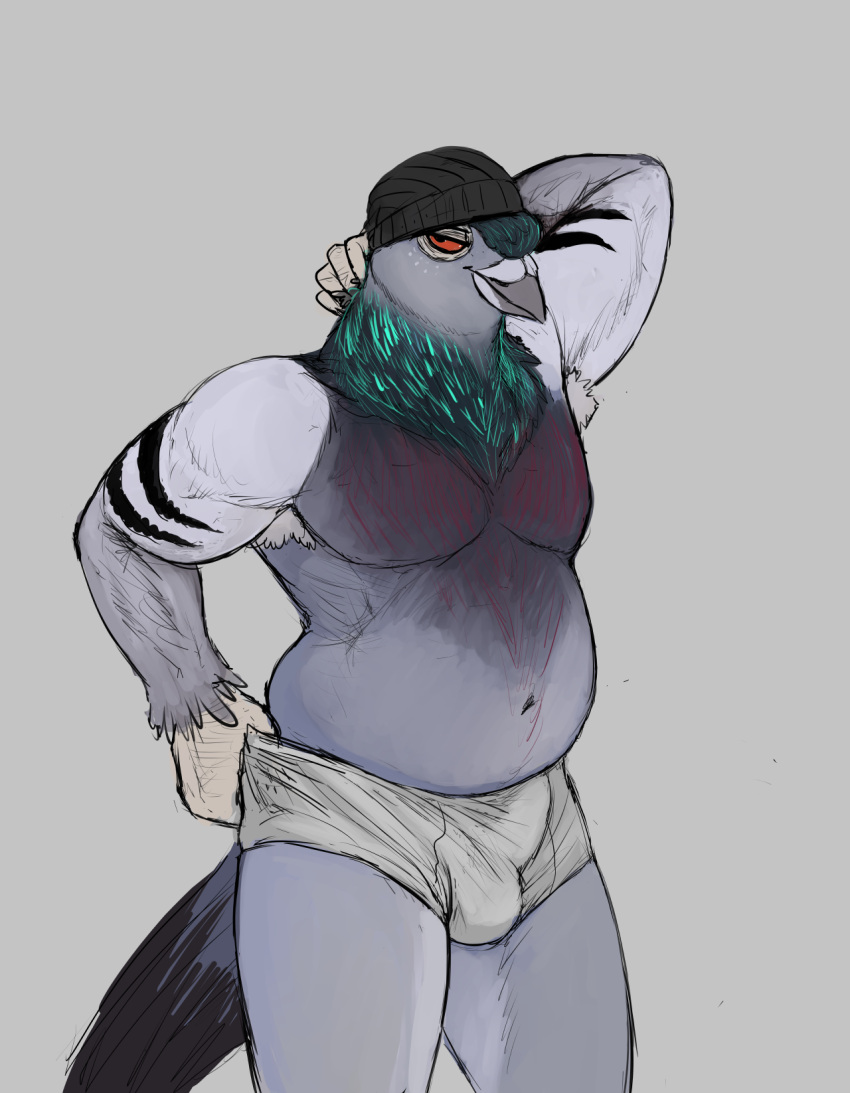 anthro avian beak beanie bird bulge clothed clothing columbid hat headgear headwear hi_res hladilnik male musclegut overweight overweight_anthro overweight_male pigeon simple_background smile solo underwear underwear_only