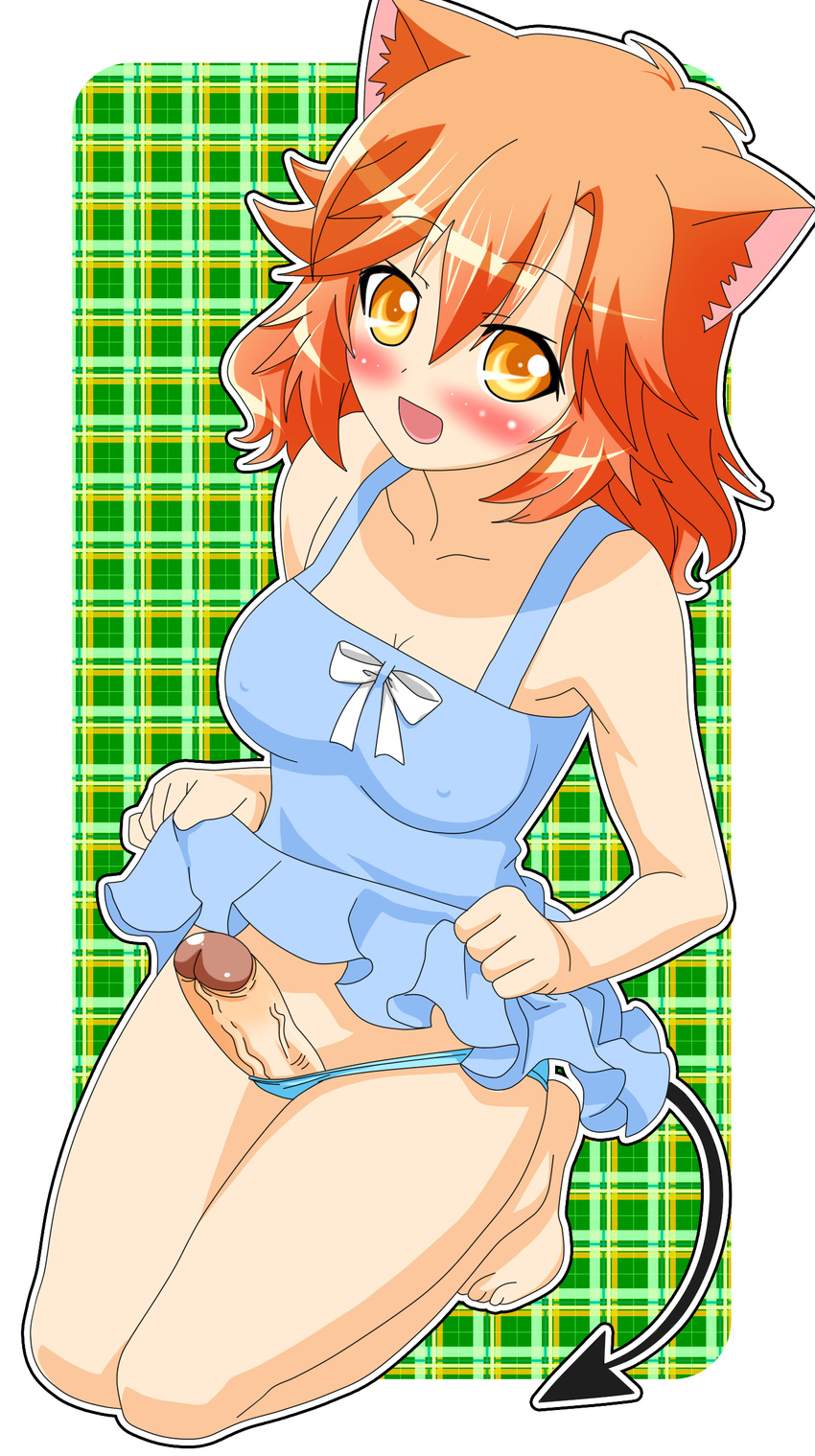 1girl absurdres animal_ears barefoot blue_dress blue_panties blush breasts cat_ears cat_tail catgirl dress erect_nipples erection futanari highres kneeling open_mouth orange_eyes orange_hair panties penis ribbon sexy short_hair skirt skirt_lift solo sun_dress sundress tail uncensored underwear veins veiny_penis white_ribbon