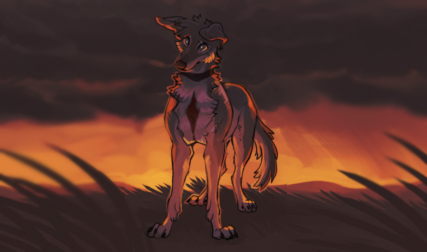 2022 4_toes ambiguous_gender canid canine canis day detailed_background digital_media_(artwork) domestic_dog feet feral hoot_(artist) mammal outside paws solo standing toes