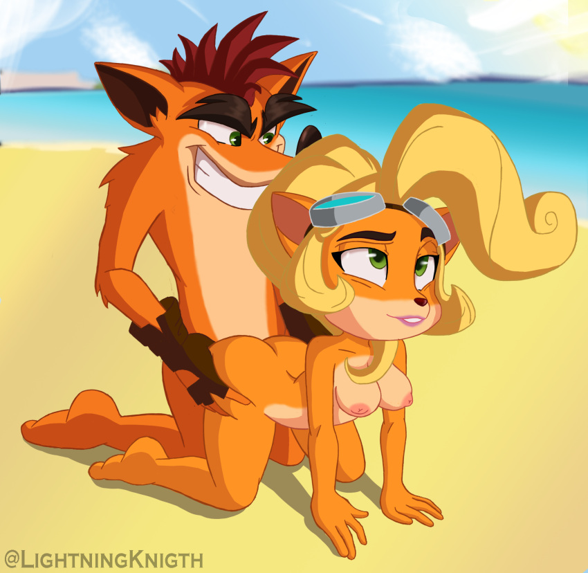 activision anthro bandicoot barefoot beach blonde_hair breasts coco_bandicoot crash_bandicoot crash_bandicoot_(series) doggystyle duo excited feet female from_behind_position green_eyes hair hi_res humanoid incest_(lore) lightningknight male male/female mammal marsupial mostly_nude penetration red_hair seaside sex smile video_games wasarky