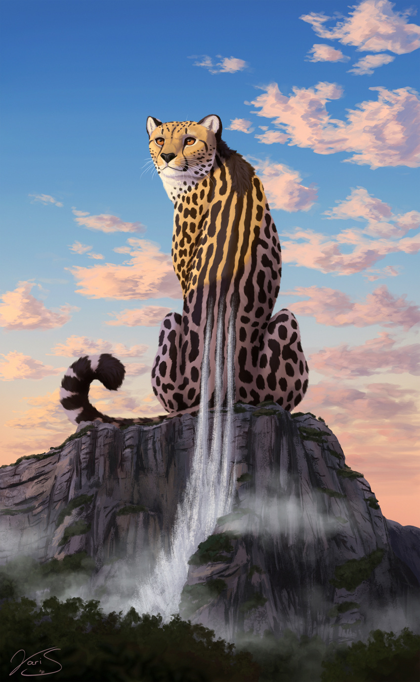 2021 absurd_res ambiguous_gender brown_eyes cheetah day detailed_background digital_media_(artwork) felid feline feral hi_res mammal outside sky solo varisart waterfall whiskers