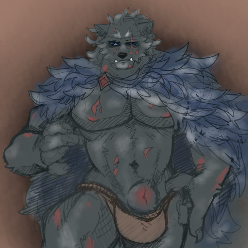 animal_genitalia anthro black_sclera blaidd_(elden_ring) bulge canid canine canis cape clothing elden_ring fully_sheathed fur genitals grey_body grey_fur haiscone hi_res male mammal muscular muscular_anthro muscular_male navel pecs scar sheath solo thong underwear wolf