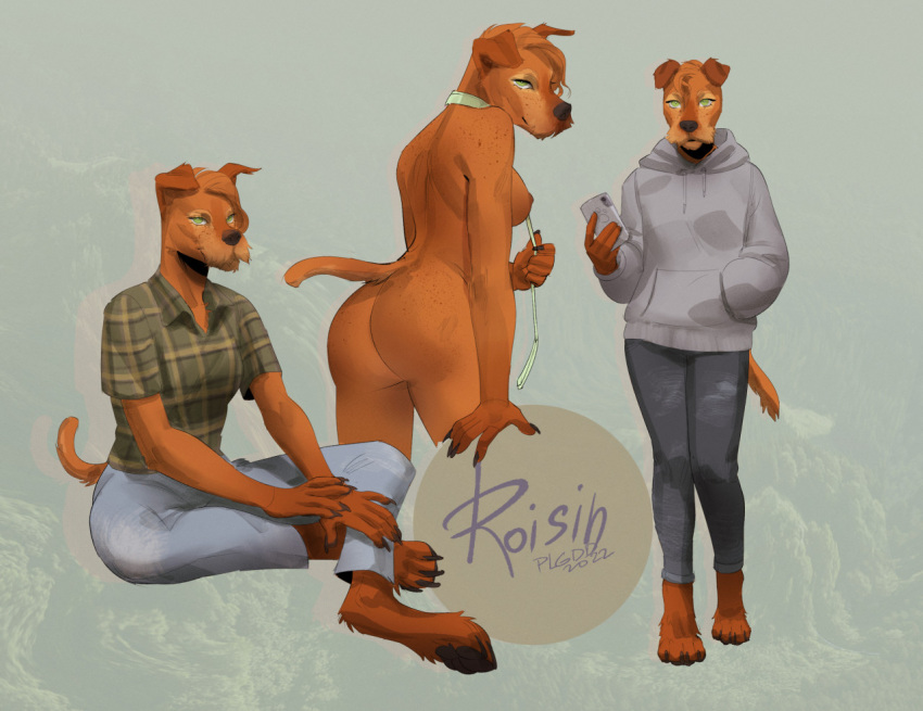 2022 4_toes 5_fingers anthro breasts brown_body brown_fur canid canine canis clothed clothing collar digital_media_(artwork) domestic_dog feet female fingers fur green_eyes lac leash mammal nipples nude plgdd smile toes