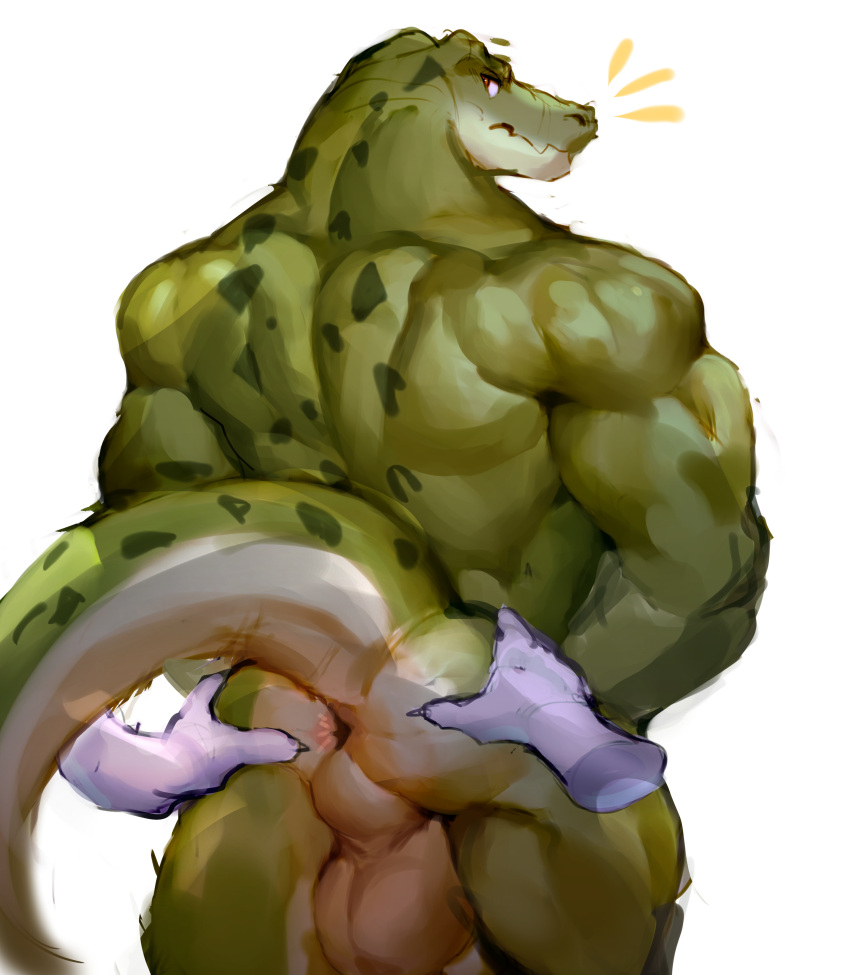 2022 absurd_res anthro anus balls big_muscles butt crocodilian disembodied_hand duo genitals green_body green_scales hi_res looking_back male multicolored_body multicolored_scales muscular muscular_anthro muscular_male nude perineum presenting presenting_hindquarters rear_view reolixious reptile scales scalie simple_background solo_focus standing tail_aside two_tone_body two_tone_scales white_background white_body white_scales