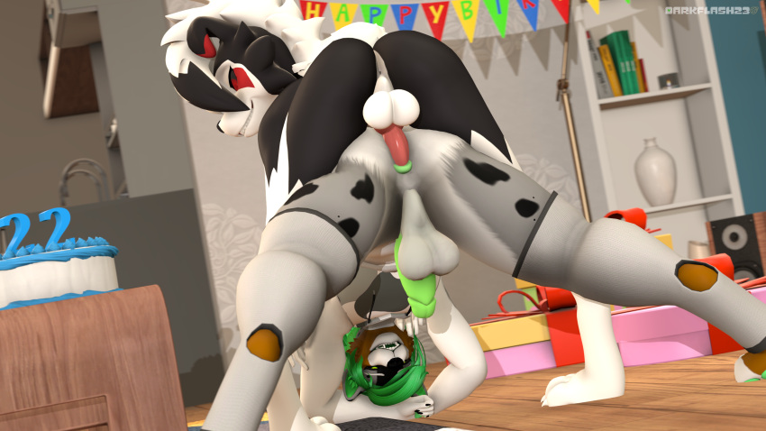 2022 3d_(artwork) all_fours anal anal_penetration anthro anus artist_name ass_up australian_shepherd balls birthday birthday_cake black_body black_fur black_sclera bottomless bottomless_anthro bottomless_male butt cake canid canine canis clothed clothing crop_top darkflash23 dessert detailed_background digital_media_(artwork) domestic_dog duo feet food fur genitals gift grey_body grey_eyes grey_fur hair herding_dog hi_res inner_ear_fluff inside lycanroc male male/male mammal midnight_lycanroc miragoldra_(character) multicolored_body multicolored_fur nintendo nude pastoral_dog penetration penis pok&eacute;mon pok&eacute;mon_(species) red_eyes sex sheepdog shirt short_hair smile source_filmmaker teeth toes topwear tuft two_tone_body two_tone_fur video_games white_body white_fur white_hair