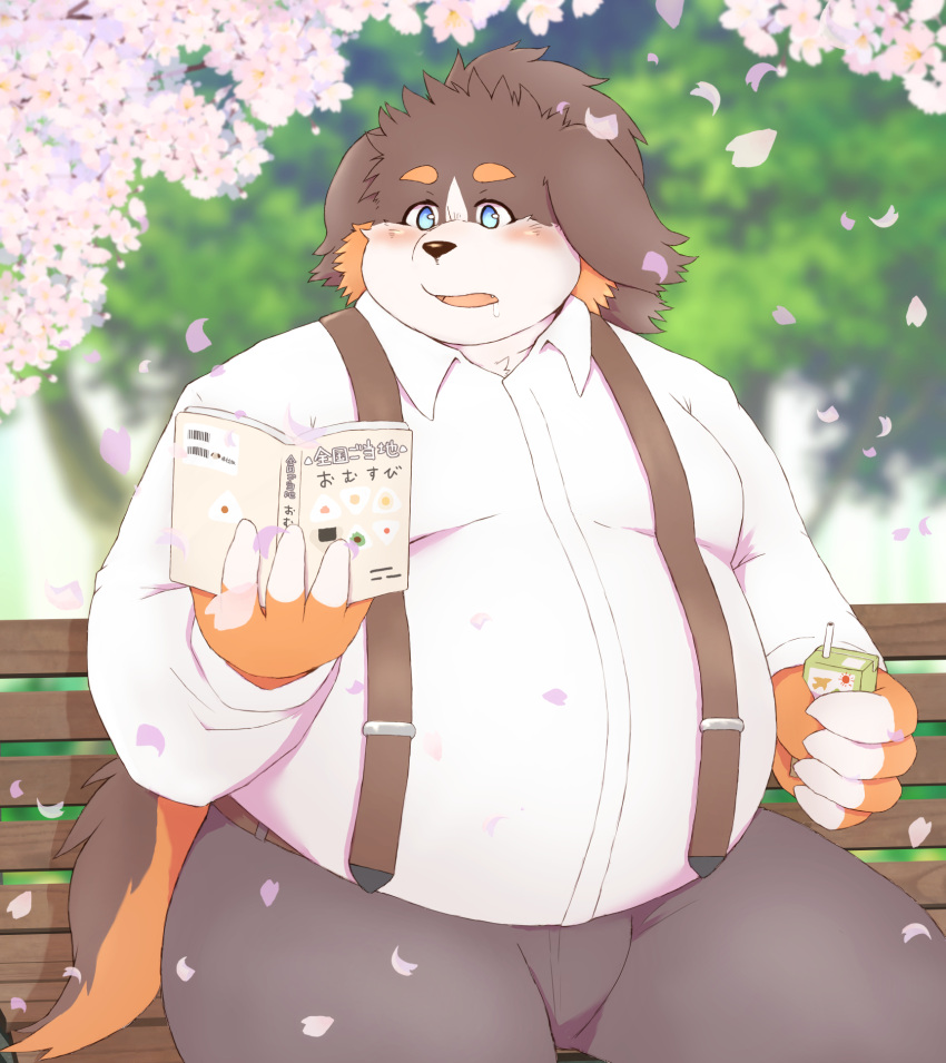 2022 anthro belly bernese_mountain_dog big_belly black_body blue_eyes blush book bottomwear brown_body canid canine canis cherry_blossom cherry_blossom_tree cherry_tree clothing domestic_dog fruit_tree hi_res humanoid_hands ibuki_haruno kemono male mammal molosser mountain_dog overweight overweight_male pants plant reading shirt sitting solo suspenders swiss_mountain_dog topwear tree white_body