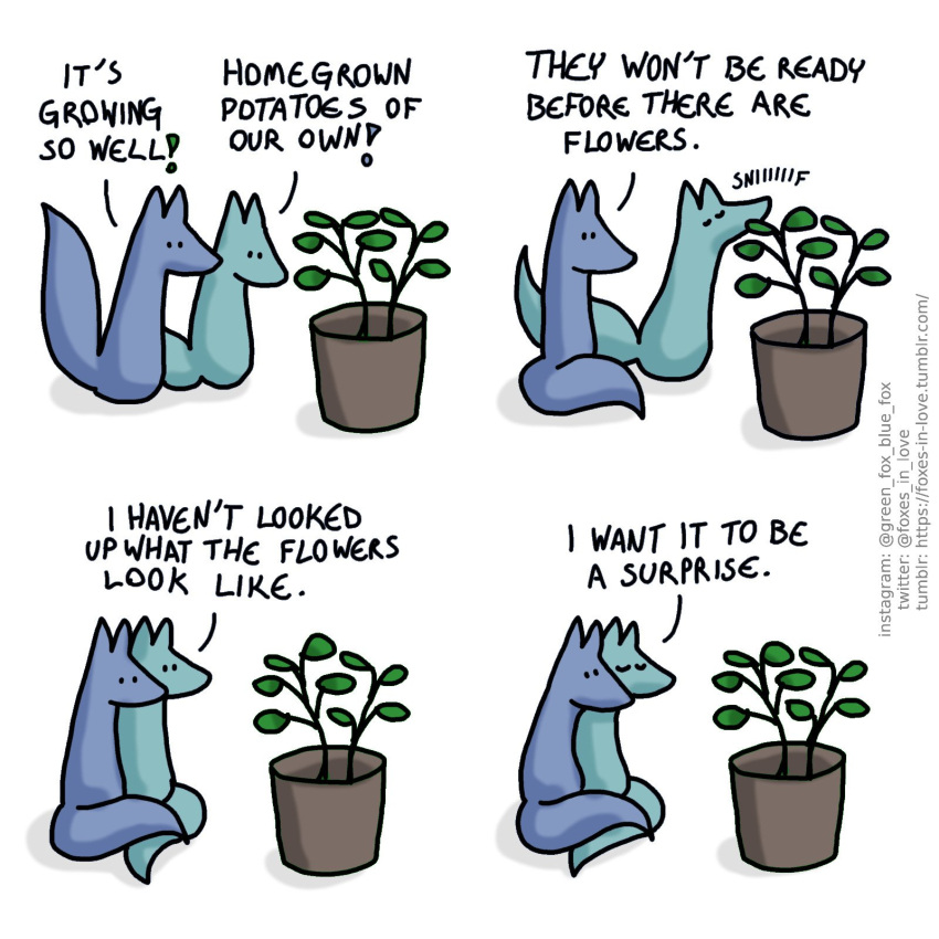 1:1 blue_body blue_fox_(foxes_in_love) blue_fur blue_tail canid canine comic dialogue duo english_text exclamation_point feral fox foxes_in_love fur green_body green_fox_(foxes_in_love) green_fur green_tail hi_res male_(lore) mammal shadow simple_background text url