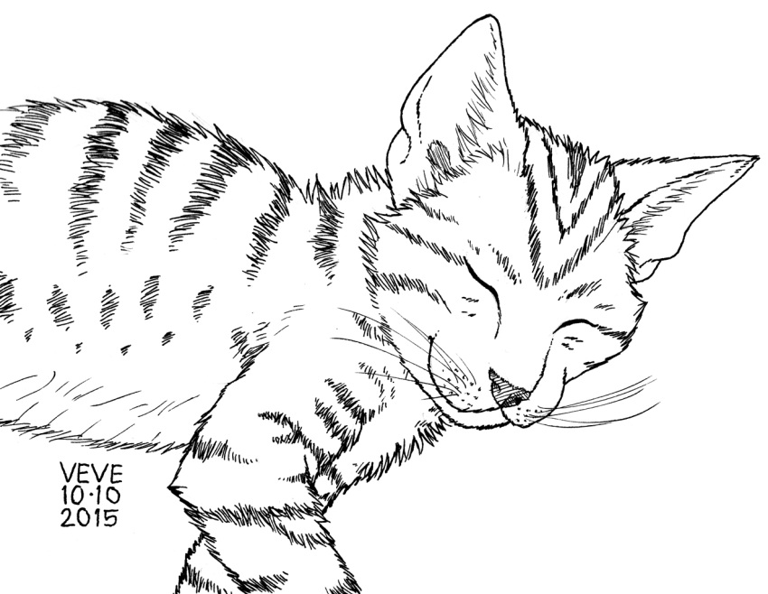 2015 ambiguous_gender cheek_tuft dated eyes_closed facial_tuft feral fur inner_ear_fluff lying monochrome neck_tuft on_side side_view skyelegs sleeping smile solo striped_body striped_fur stripes tuft whiskers