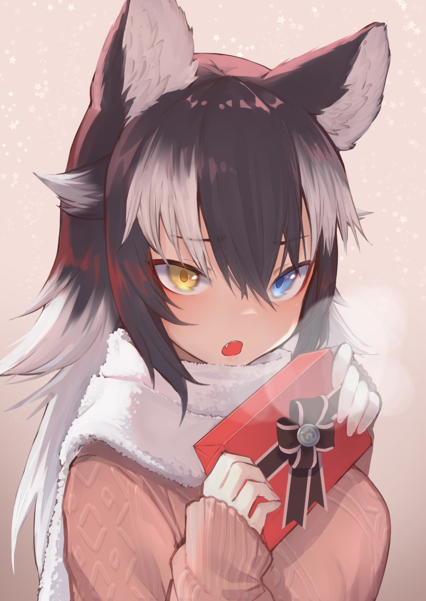 1girl absurdres akuma_(st.takuma) animal_ears black_hair blue_eyes blush breath commentary eyebrows_visible_through_hair fang fur_collar grey_wolf_(kemono_friends) heterochromia highres kemono_friends long_hair long_sleeves multicolored_hair open_mouth pink_sweater solo sweater two-tone_hair valentine white_fur white_hair wolf_ears wolf_girl yellow_eyes