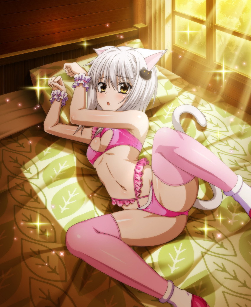 1girl absurdres animal_ears bed bikini breasts cat_ears cat_girl cat_hair_ornament cat_tail hair_ornament high_school_dxd highres indoors looking_at_viewer lying navel official_art on_side open_mouth paw_pose pillow pink_legwear short_hair silver_hair small_breasts solo spread_legs swimsuit tail thighhighs toujou_koneko yellow_eyes