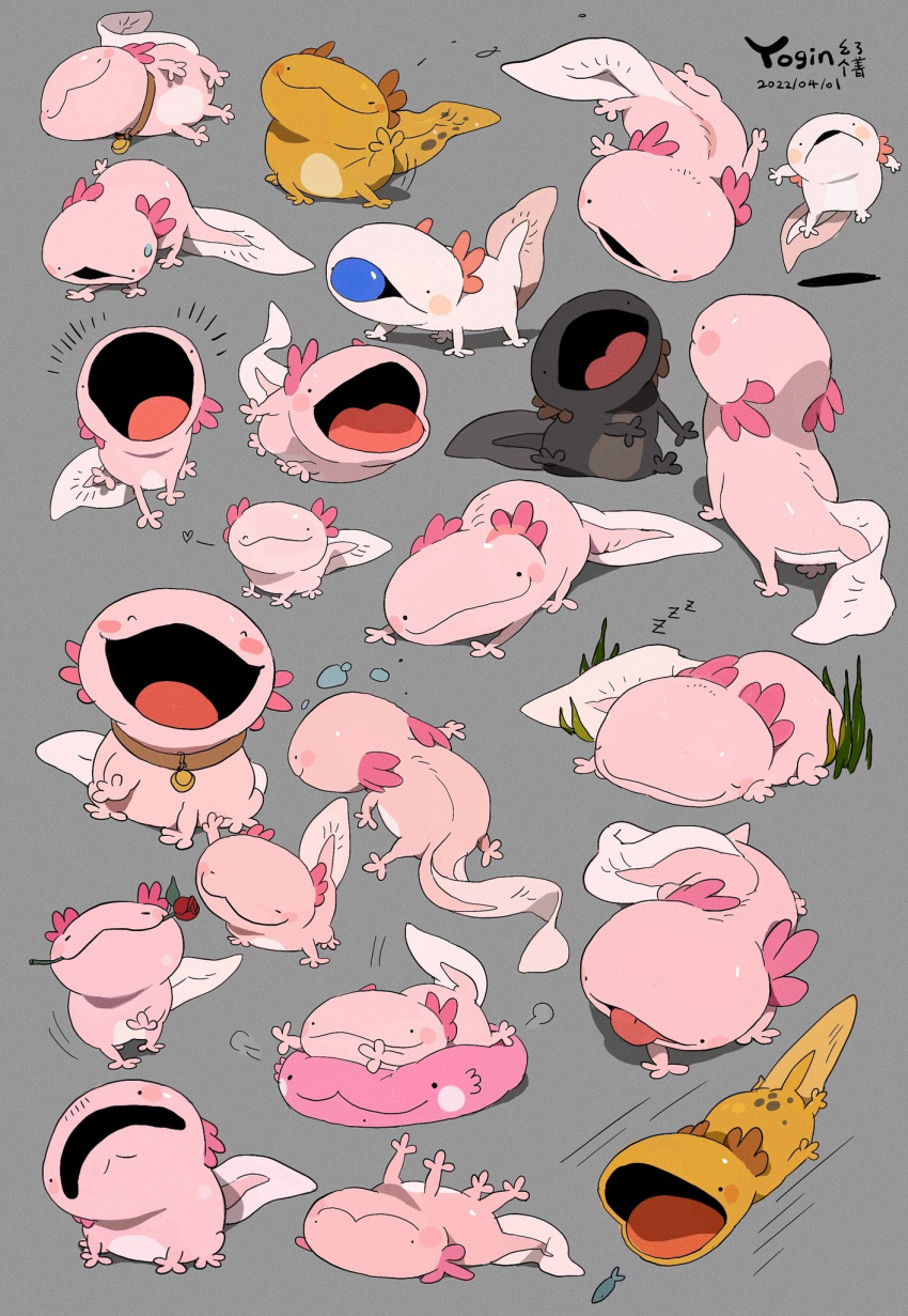 :3 =3 ^_^ animal animal_focus axolotl closed_eyes collar dated fish flower grey_background heart highres lying mouth_hold no_humans on_side on_stomach one_eye_closed open_mouth original red_flower red_rose rose signature simple_background sleeping sweat tail tongue tongue_out yogin zzz