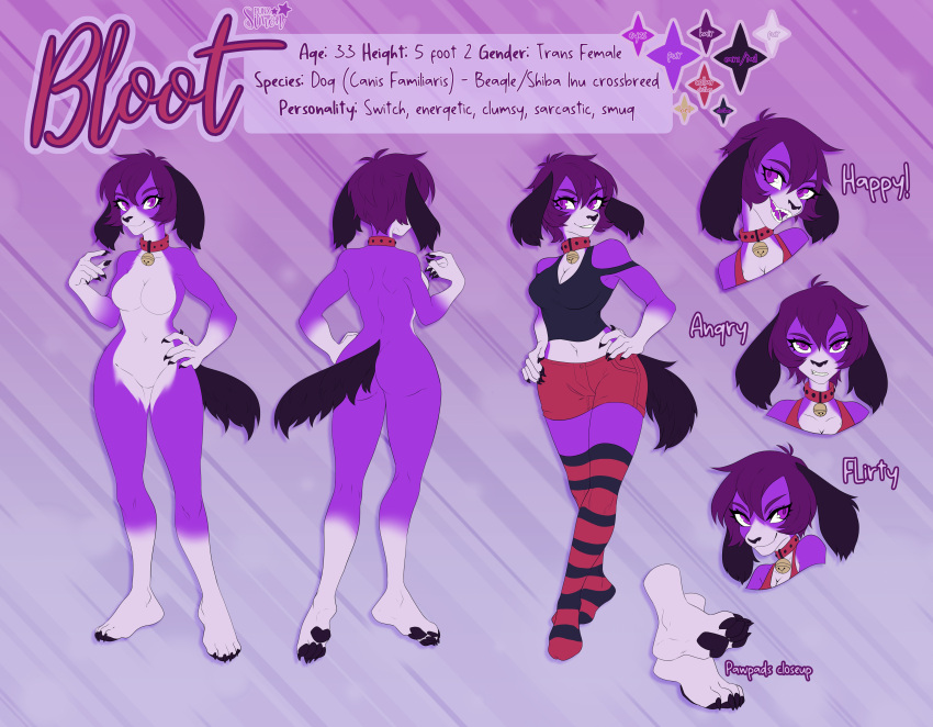 absurd_res anthro bloot_(bloot) canid canine canis close-up clothing domestic_dog emotion_chart emotions female fur hi_res legwear mammal model_sheet pattern_clothing pattern_legwear punxsimon purple_body purple_eyes purple_fur reference_guide solo solo_focus striped_clothing striped_legwear stripes