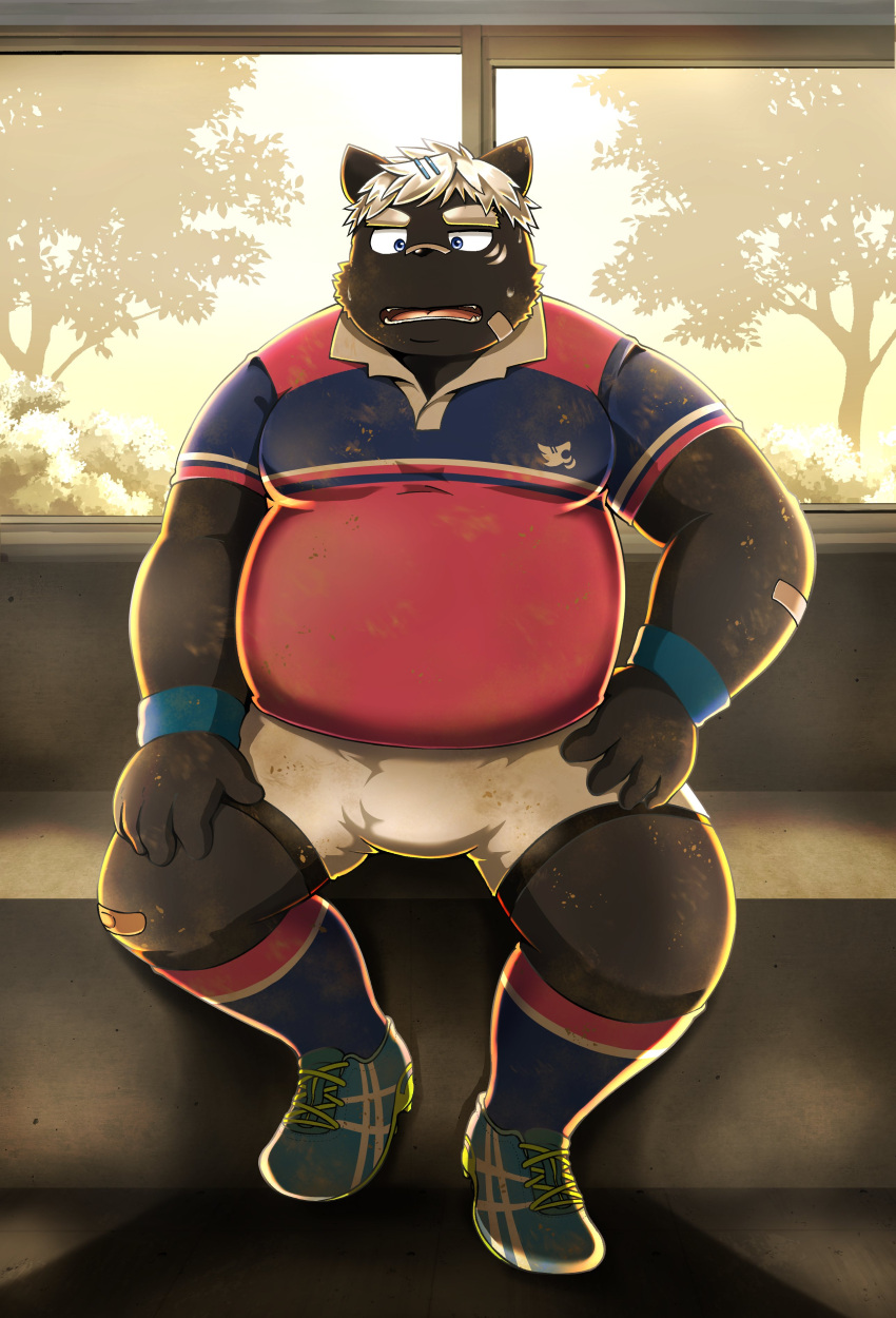 2022 absurd_res anthro band-aid bandage belly big_belly black_body bottomwear bulge canid canine clothing detailed_background hair hi_res kemono kokuba_hoeguro male mammal moobs overweight overweight_male rugby rugby_uniform shirt shorts sitting solo topwear virtual_youtuber white_hair xzk