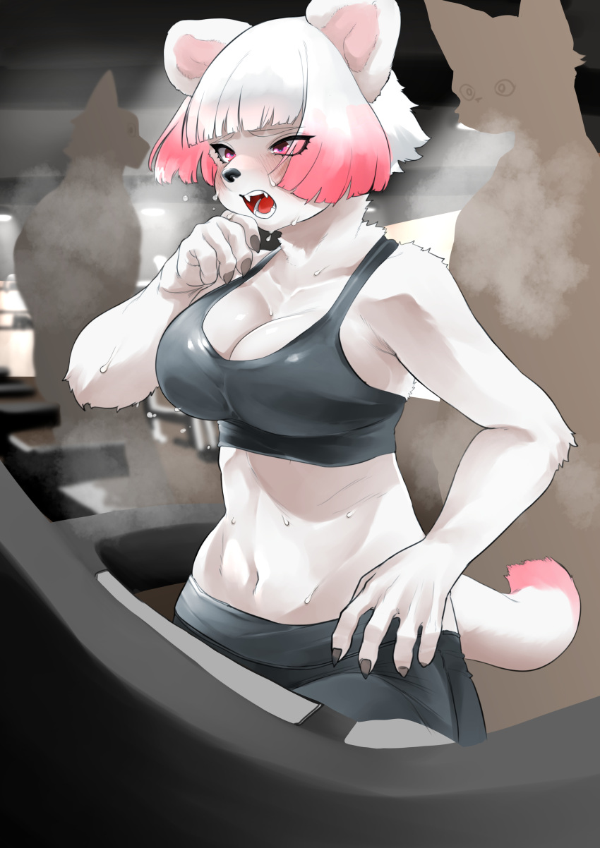 absurd_res anthro bodily_fluids breasts cleavage clothed clothing felid female fur gym hair hi_res mammal multicolored_body multicolored_fur navel sleepiness18 sweat treadmill two_tone_body two_tone_fur white_body white_fur white_hair