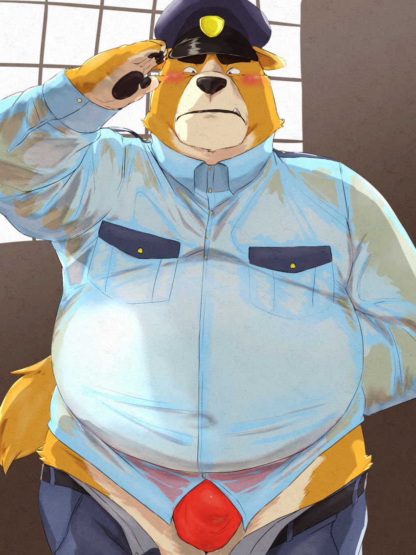 2022 3:4 anthro belly big_belly black_nose blush brown_body bulge canid canine canis clothing domestic_dog hat headgear headwear hi_res humanoid_hands kemono male mammal o_miso_n overweight overweight_male police police_hat police_officer police_uniform red_clothing red_underwear solo translucent translucent_clothing underwear uniform