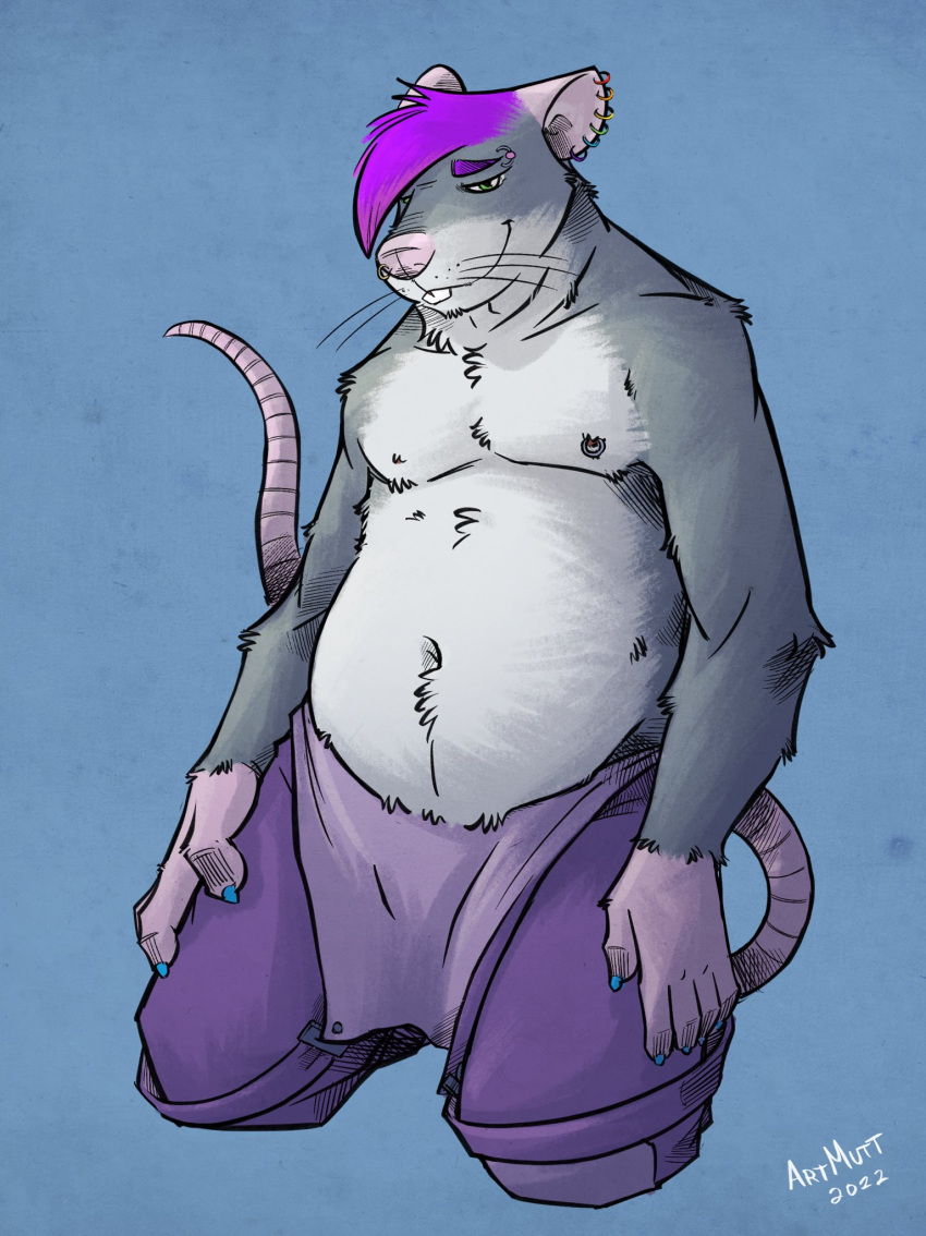 2022 anthro belly biped blue_background grey_body hair hi_res humanoid_hands k-9 male mammal moobs murid murine purple_hair rat rodent simple_background slightly_chubby solo