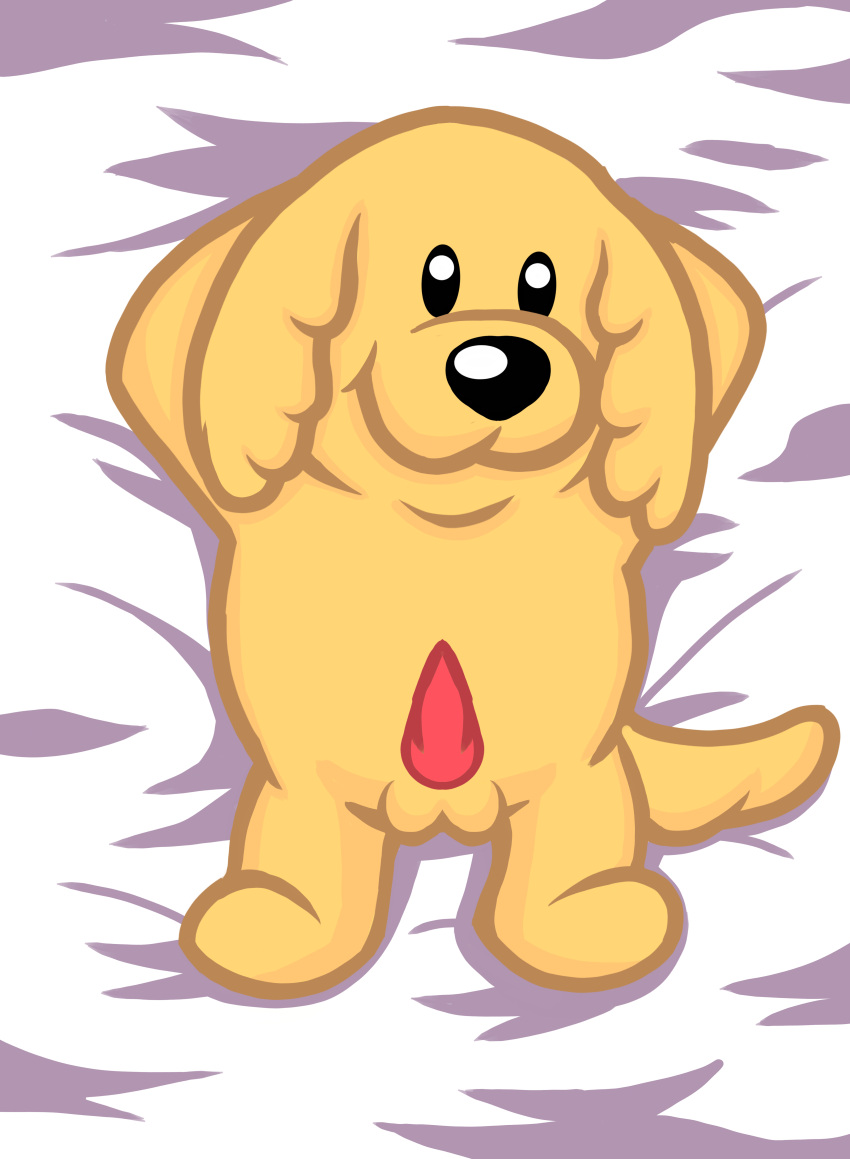 absurd_res animal_genitalia animal_penis bed black_eyes black_nose canid canine canis cooper_dankev dakimakura_design dankev_(youtuber) domestic_dog erection fur furniture genitals harry_85 hi_res lomito_dankev looking_at_viewer lying lying_on_bed male mammal on_bed on_front penis simple_background smile solo yellow_body yellow_fur youtube youtuber