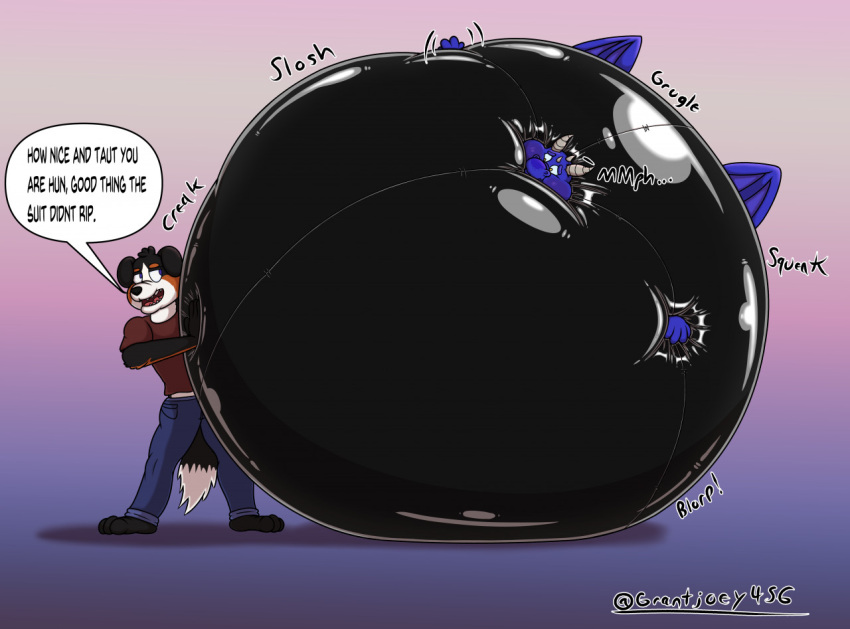 2022 blueberry_inflation canid canine canis clothed clothing dialogue digital_media_(artwork) domestic_dog dragon duo english_text female fully_clothed gradient_background grantjoey45 inflation male mammal reflection rubber rubber_clothing rubber_suit rubbing simple_background sound_effects speech_bubble teasing text watermark