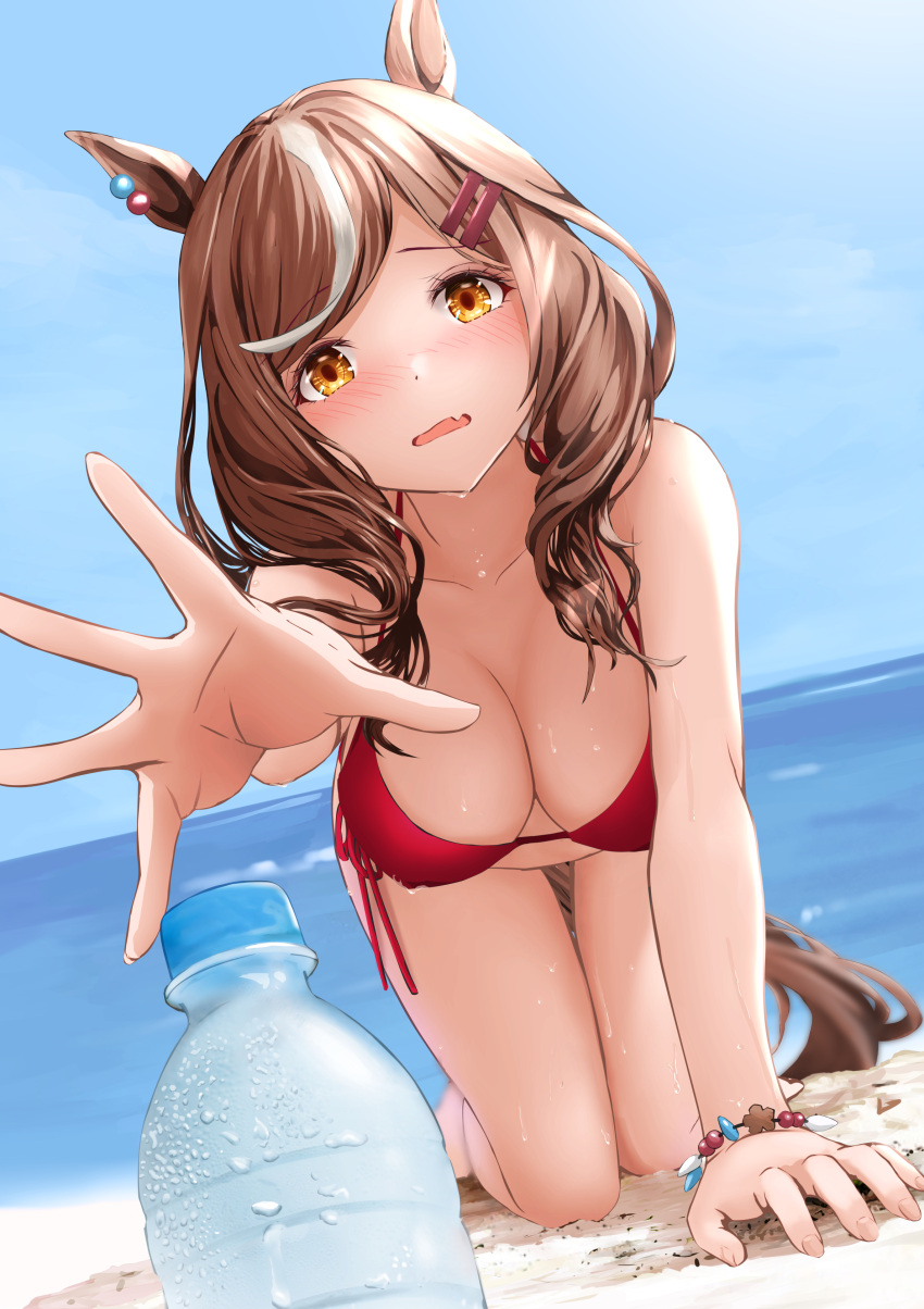 1girl absurdres all_fours animal_ears arm_support bangs bikini blush bottle bracelet breasts brown_eyes brown_hair cleavage day eyebrows_visible_through_hair fang foreshortening gibun_(sozoshu) hair_ornament hairclip halter_top halterneck highres horse_ears horse_girl horse_tail jewelry large_breasts long_hair matikane_tannhauser_(umamusume) multicolored_hair outdoors outstretched_arm red_bikini revision skin_fang solo streaked_hair string_bikini swimsuit tail umamusume water_bottle white_hair