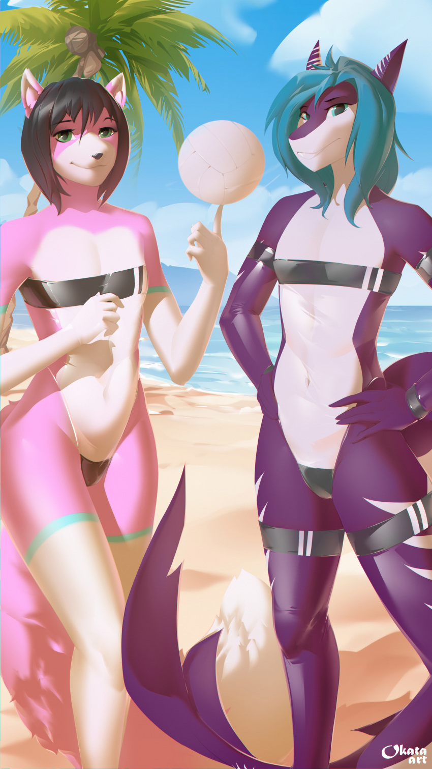 absurd_res anthro ball beach canid canine clothing duo fish fox gris_swimsuit hi_res legwear looking_at_viewer male mammal marine meme meme_clothing navel okata one-piece_swimsuit palm_tree plant sea seaside shark stockings swimwear translucent translucent_clothing translucent_swimwear tree volleyball_(ball) water