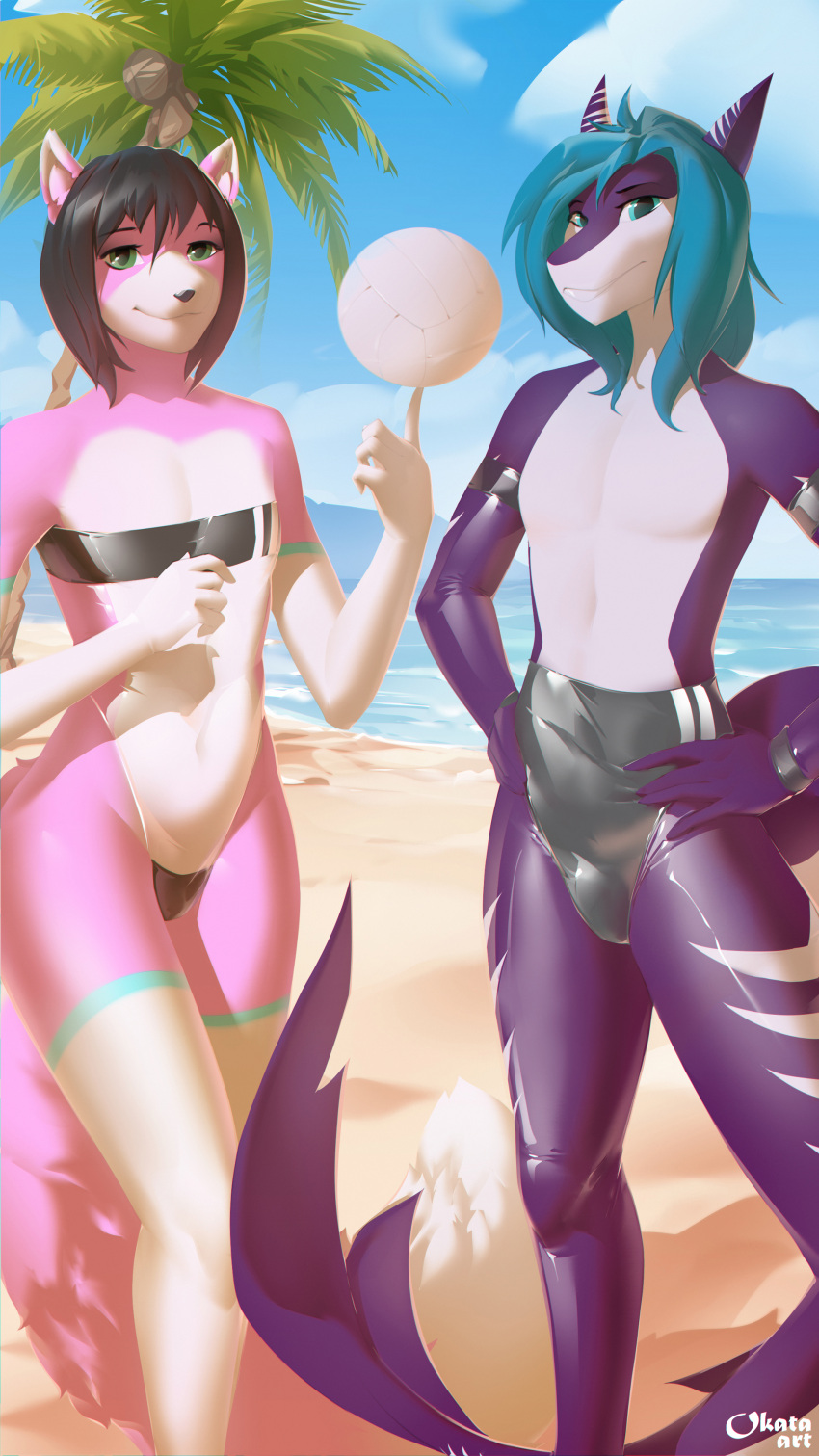 absurd_res anthro ball beach canid canine clothing duo fish fox gris_swimsuit hi_res legwear looking_at_viewer male mammal marine meme meme_clothing navel okata one-piece_swimsuit palm_tree plant sea seaside shark stockings swimwear translucent translucent_clothing translucent_swimwear tree volleyball_(ball) water
