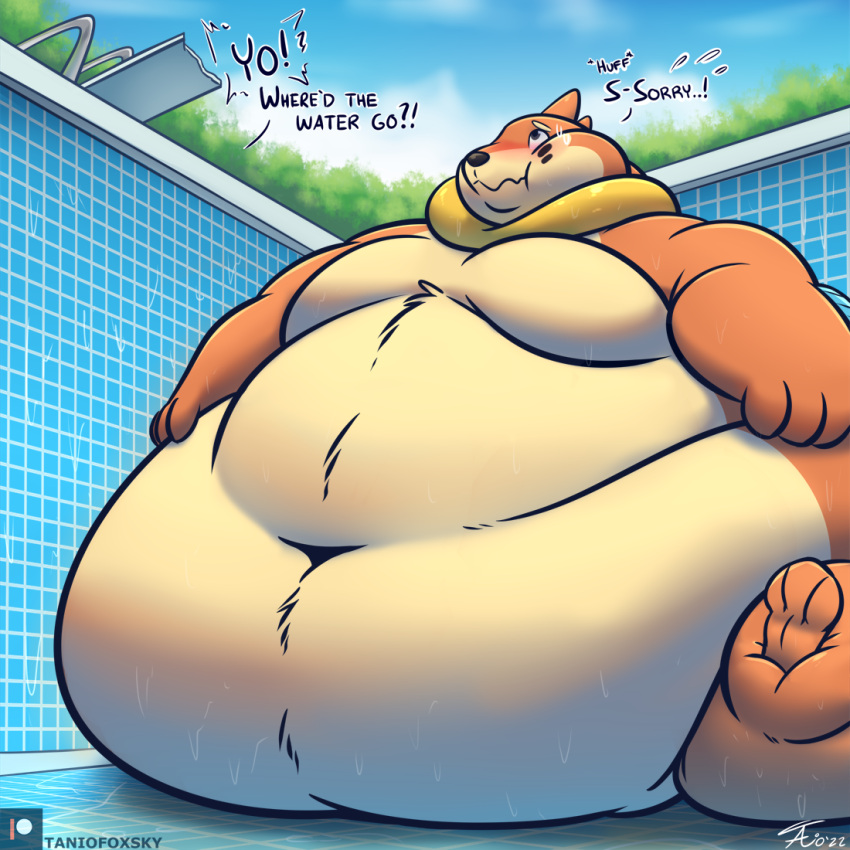 2022 anthro bodily_fluids buizel dialogue fur looking_up male morbidly_obese morbidly_obese_anthro morbidly_obese_male navel nervous_sweat nintendo nude obese obese_anthro obese_male outside overweight overweight_anthro overweight_male patreon pok&eacute;mon pok&eacute;mon_(species) puffed_cheeks sitting solo sweat sweatdrop swimming_pool tanio text video_games wet