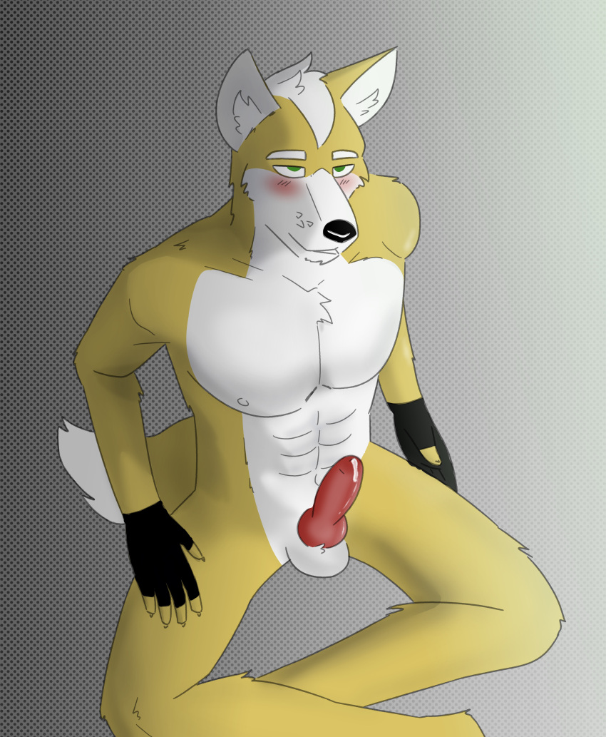 absurd_res animal_genitalia animal_penis balls blush bodily_fluids canid canine clothing cum fox fox_mccloud fur genital_fluids genitals gloves handwear hi_res knot male mammal nihilistdigby nintendo penis precum simple_background solo star_fox video_games