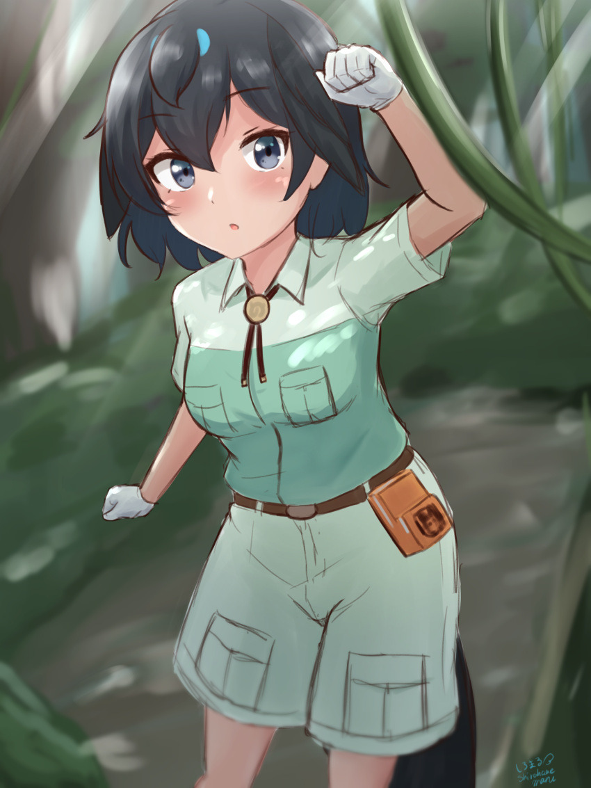 1girl absurdres arm_up bangs belt_pouch black_eyes black_hair breast_pocket breasts captain_(kemono_friends) captain_(kemono_friends)_(cosplay) commentary cosplay day eyebrows_visible_through_hair hair_between_eyes head_wings highres jungle kemono_friends medium_breasts medium_hair nature open_mouth outdoors pocket pouch shiraha_maru shirt short_sleeves shorts sketch solo superb_bird-of-paradise_(kemono_friends) velt white_shirt