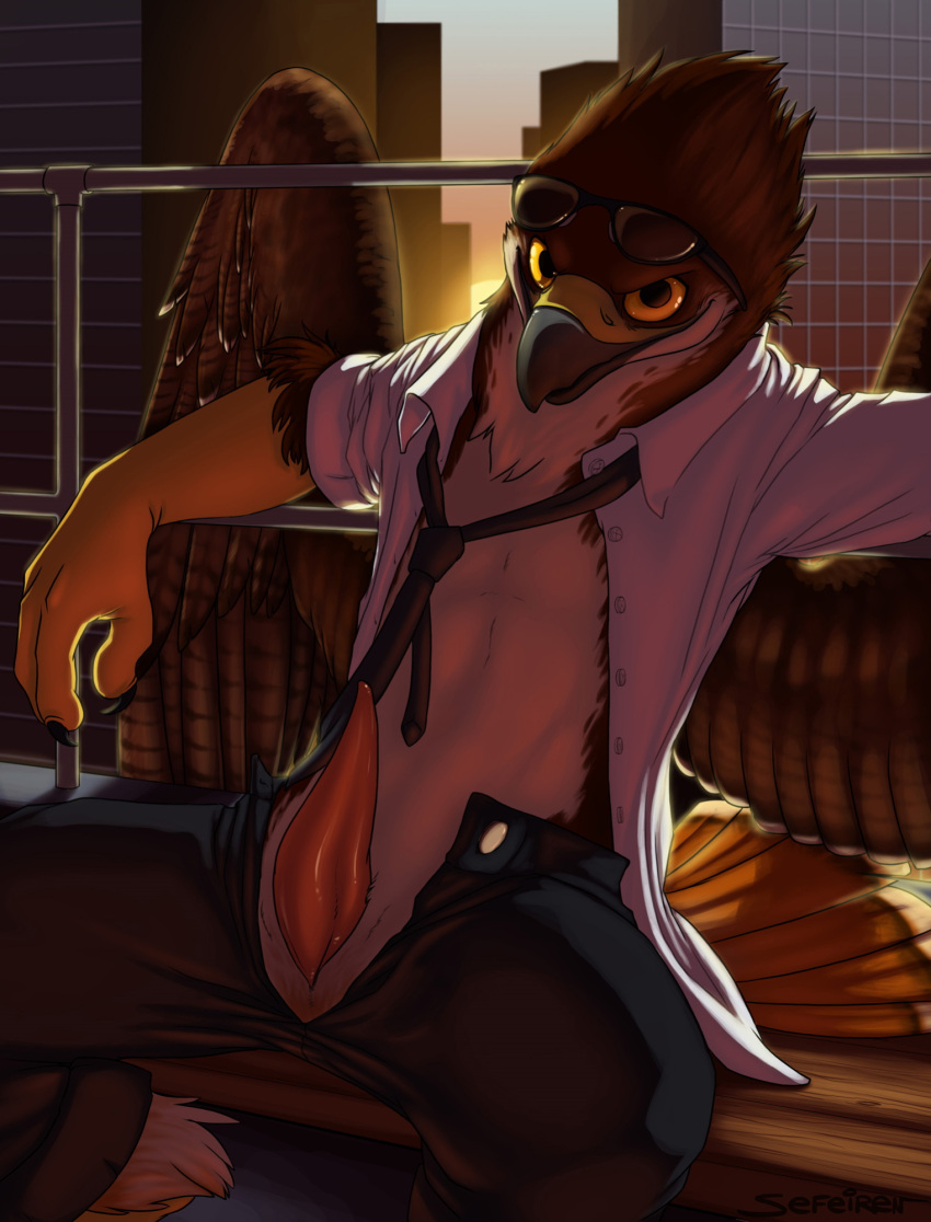accipitrid accipitriform anthro arm_support avian backlighting balcony beak bench bird bottomwear buteo chickenhawk city city_background cityscape claws clothed clothing conditional_dnp digital_media_(artwork) erection eyewear feathered_wings feathers genitals glasses hi_res leaning leaning_back light lighting looking_at_viewer male markings necktie nude on_bench open_clothing open_shirt open_topwear outside pants penis railing red-tailed_hawk sefeiren shadow shirt sitting sky skyscraper smile solo striped_markings stripes sunrise tapering_penis topwear unzipped unzipped_pants wings wings_behind_railing yellow_eyes