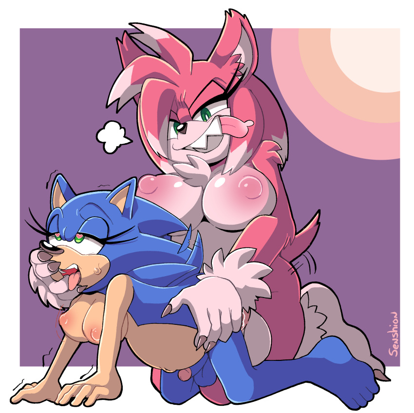 abstract_background absurd_res all_fours alternate_species amy_rose amy_rose_the_werehog anal anal_penetration anthro balls big_balls big_breasts blue_body blue_fur breasts crossgender digital_media_(artwork) digital_painting_(artwork) dominant dominant_gynomorph dominant_intersex eulipotyphlan eyelashes ftg_crossgender fti_crossgender fur genitals green_eyes gynomorph gynomorph/gynomorph gynomorph_penetrated gynomorph_penetrating gynomorph_penetrating_gynomorph half-closed_eyes hand_on_face hand_on_hip hedgehog hi_res intersex intersex/intersex intersex_penetrated intersex_penetrating intersex_penetrating_intersex larger_gynomorph larger_intersex mammal mtg_crossgender mti_crossgender narrowed_eyes nipples nude open_mouth penetration penis pink_body pink_fur pregnant pregnant_gynomorph pregnant_intersex sega senshion sharp_teeth signature size_difference smaller_gynomorph smaller_intersex sonic_the_hedgehog sonic_the_hedgehog_(series) submissive submissive_gynomorph submissive_intersex teeth tongue tongue_out toothy_grin were wereeulipotyphlan werehog