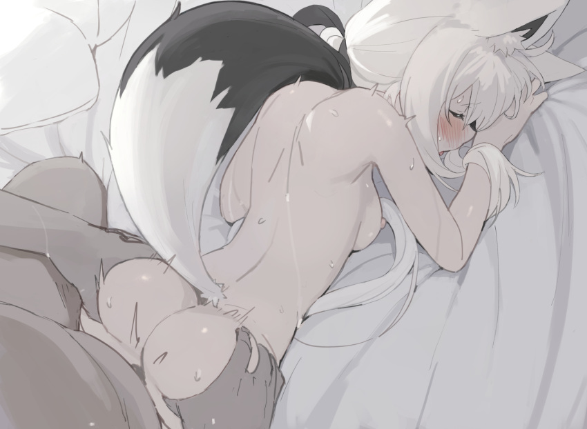 animal_humanoid black_body black_fur black_inner_ear blush breasts butt butt_grab canid canid_humanoid canine canine_humanoid duo eyes_closed female female_focus female_penetrated fox_humanoid from_behind_position fur hair hand_on_butt hololive human human_on_humanoid human_penetrating human_penetrating_humanoid humanoid humanoid_penetrated inner_ear_fluff interspecies kujirapasta lying male male/female male_penetrating male_penetrating_female mammal mammal_humanoid multicolored_body multicolored_fur nipples nude on_front penetration raised_tail sex shirakami_fubuki solo_focus tuft two_tone_body two_tone_fur two_tone_tail virtual_youtuber white_body white_ears white_fur white_hair white_tail