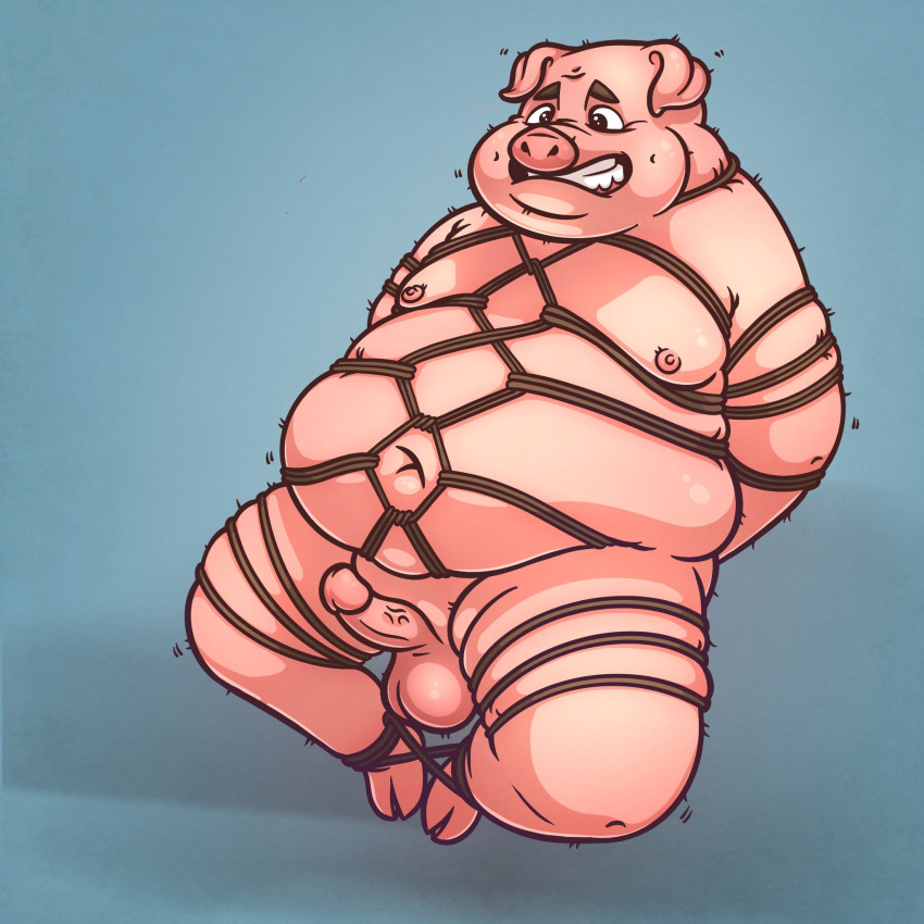 2022 anthro balls bdsm belly big_belly bondage bound domestic_pig erection genitals hi_res korndoggychub male mammal moobs navel nipples overweight overweight_male penis restraints rope rope_bondage rope_harness simple_background solo suid suina sus_(pig)